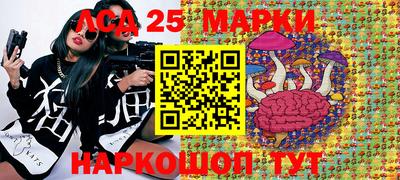 гашик Владивосток