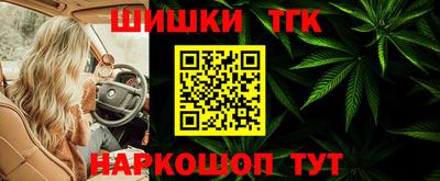 прущие грибы Владикавказ
