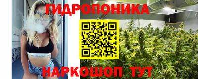 прущие грибы Владикавказ
