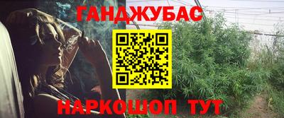 прущие грибы Владикавказ