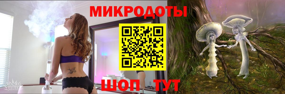 Ачхой-Мартан  Галлюциногенные грибы Cubensis  Вход с VPN 